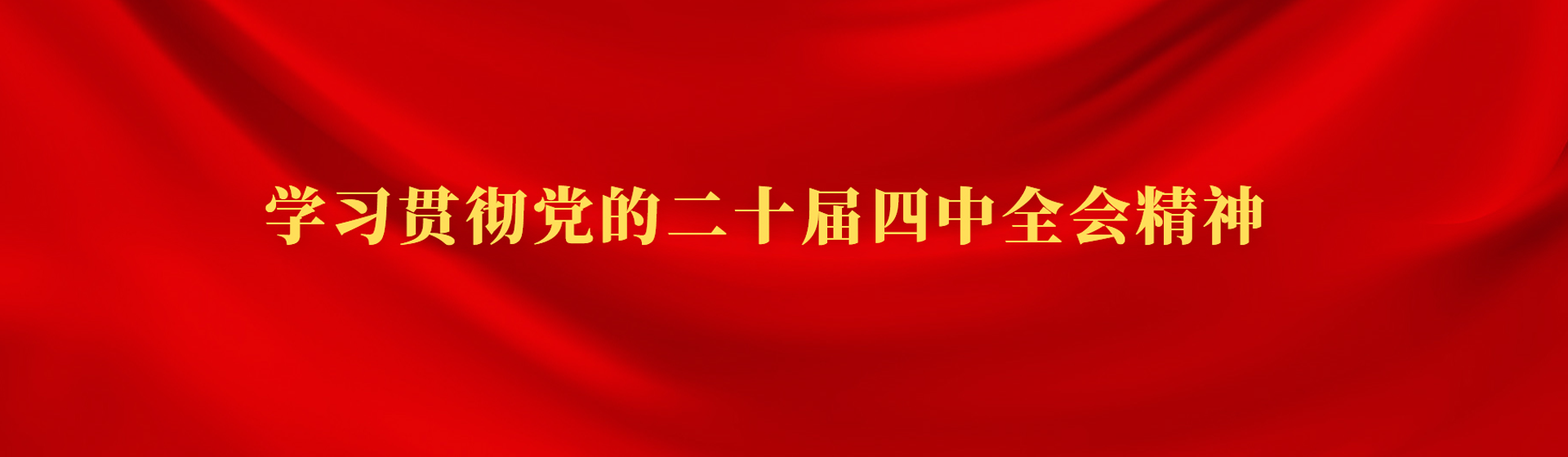 學(xué)習(xí)貫徹黨的二十屆四中全會精神