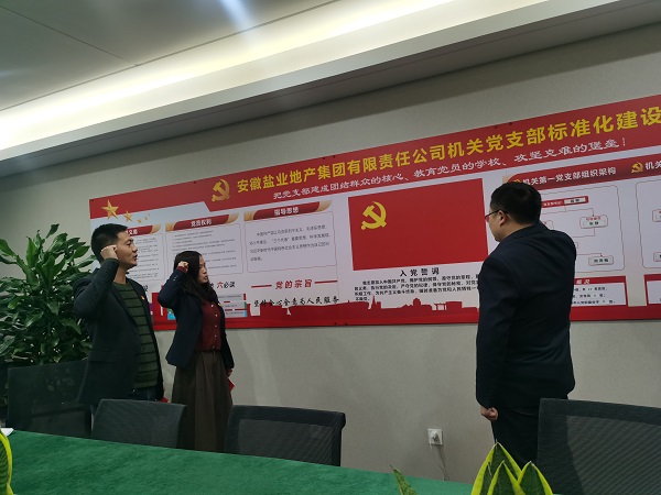 安徽鹽業(yè)地產(chǎn)集團(tuán)機(jī)關(guān)第一黨支部開展“佩黨徽、誦誓詞、贈黨章、上黨課”黨員教育活動